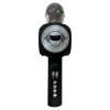 iParty karaoke-microfoon met luidspreker