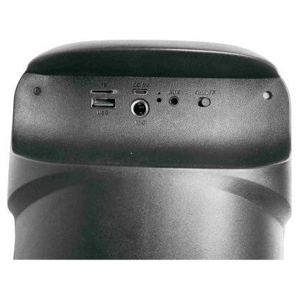 Set di altoparlanti con microfono iParty