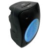 Set di altoparlanti con microfono iParty