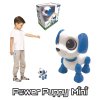 Mini Robot Power Puppy