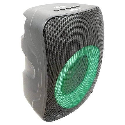 Set di altoparlanti con microfono iParty