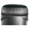 Set di altoparlanti con microfono iParty