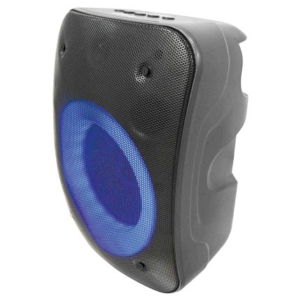Set di altoparlanti con microfono iParty