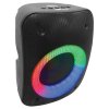 Set di altoparlanti con microfono iParty