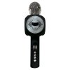 Microfon karaoke cu difuzor iParty