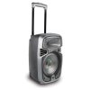 Altoparlante karaoke wireless con ruote e microfono iParty