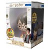 3D dizajn LED noćno svjetlo Harry Potter 13 cm