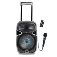 Altavoz karaoke inalámbrico con ruedas y micrófono iParty