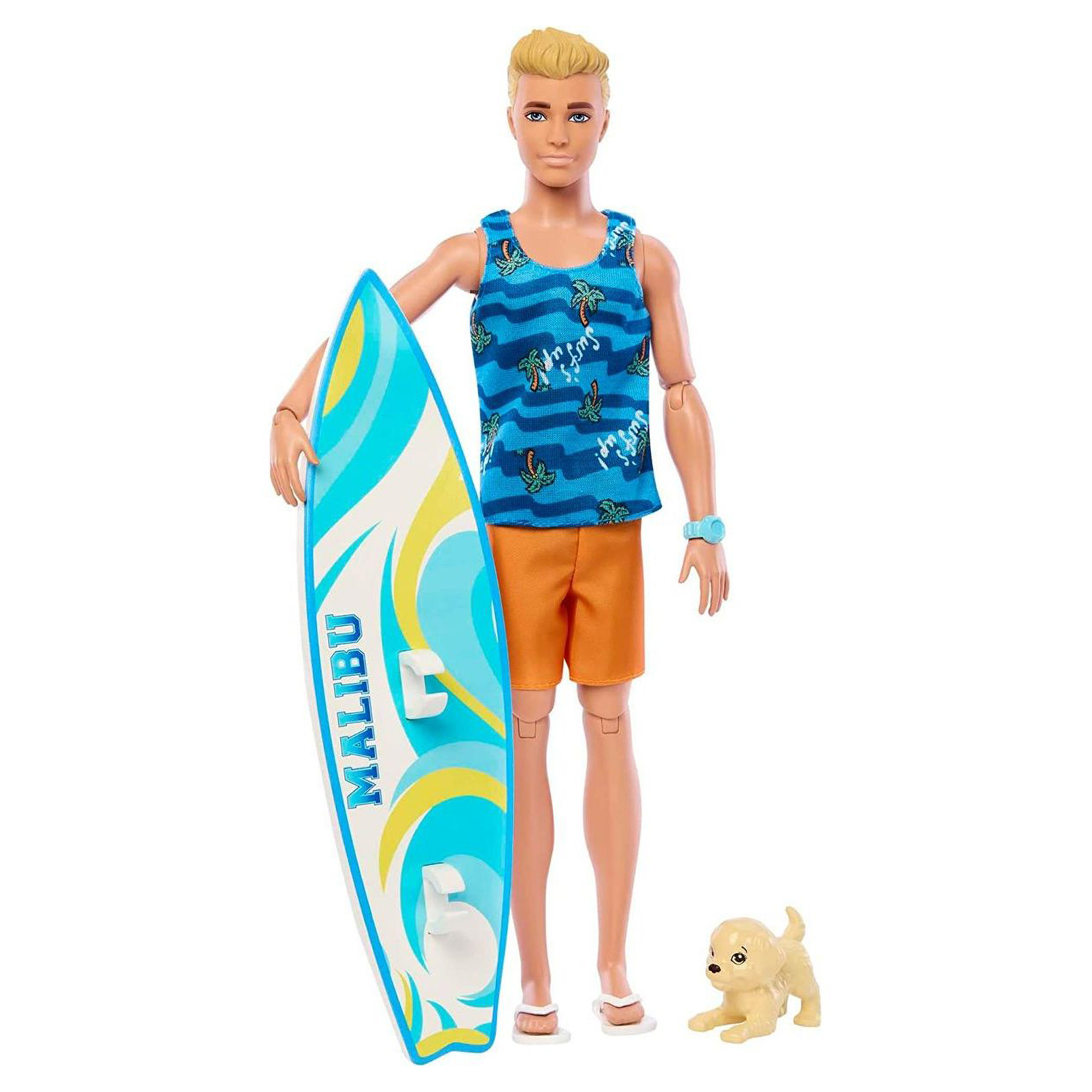 Mattel Barbie Ken surfer s doplnkami